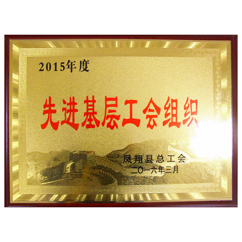 公司工會被鳳翔縣總工會評為2015年度先進基層工會組織